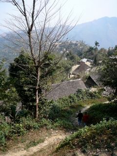 Lungwa-Village-Konyak-tribe-Nagaland